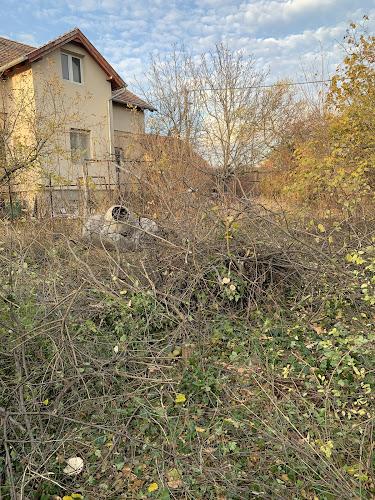 Telektisztítás kert takarítás kert rendezés Fakivágás Zöldhulladék elszállítás Rövid határidővel. - Dunaújváros