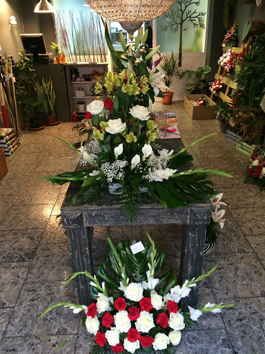 FloresNuevas.com Floristería L'Eliana - Envío de flores a domicilio Valencia en L'Eliana, Valencia