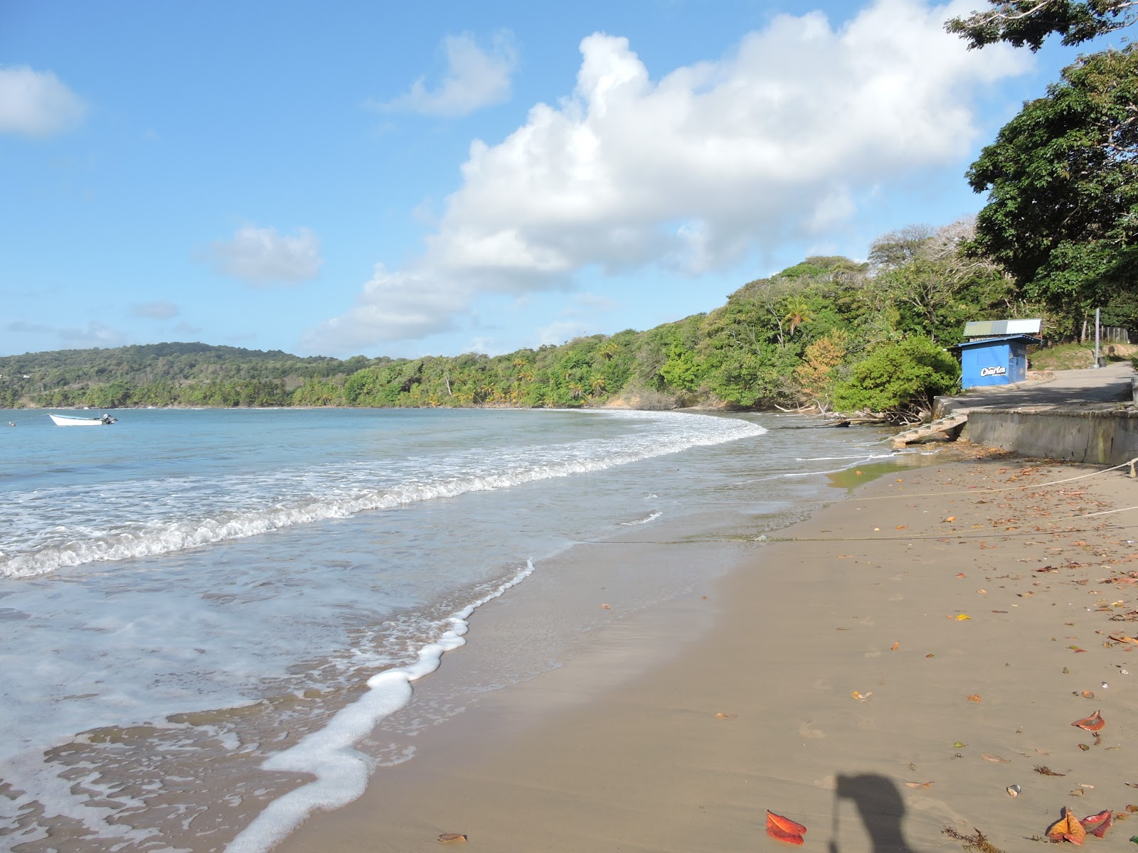 Balandra beach的照片 带有宽敞的海岸