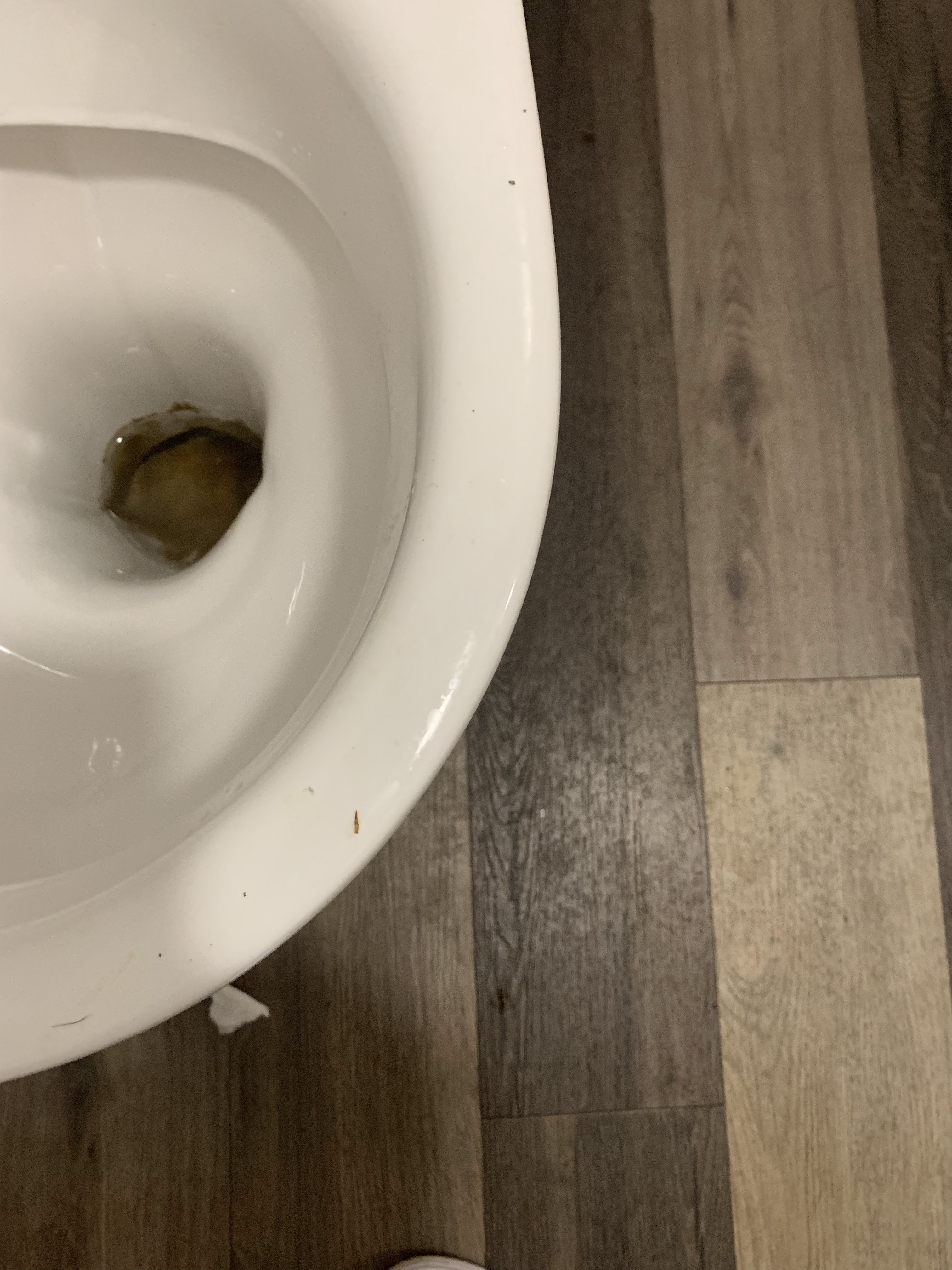 Photo n° 12 de l'avis de le.o fait le 09/11/2019 à 08:07