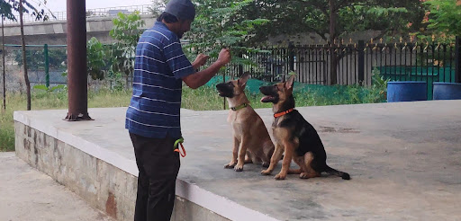 K9 Dog Training/ Behaviour training