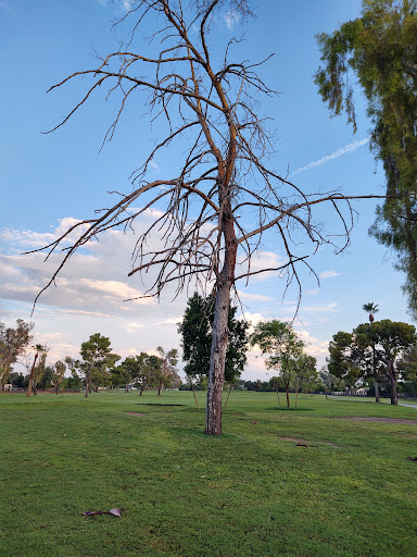 Golf Course «Dobson Ranch Golf Course», reviews and photos, 2155 S Dobson Rd, Mesa, AZ 85202, USA