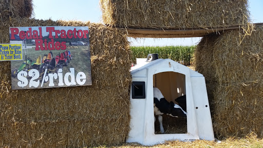 Tourist Attraction «Oregon Dairy Corn Maze», reviews and photos, 1289 Creek Rd, Lititz, PA 17543, USA