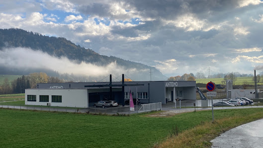 ANTEMO Anlagen & Teilefertigung GmbH Gewerbepark 6, 8755 St. Peter ob Judenburg, Österreich
