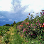 Photo n°3 de l'avis de Claudia.e fait le 09/07/2022 à 16:24 sur le  Vorgebirgsblick à Bornheim