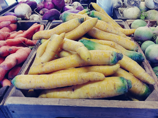 Farm «Heron Pond Farm», reviews and photos, 299 Main Ave, South Hampton, NH 03827, USA