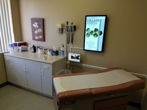 3165 McMullen Booth Rd, Clearwater, FL 33761, USA