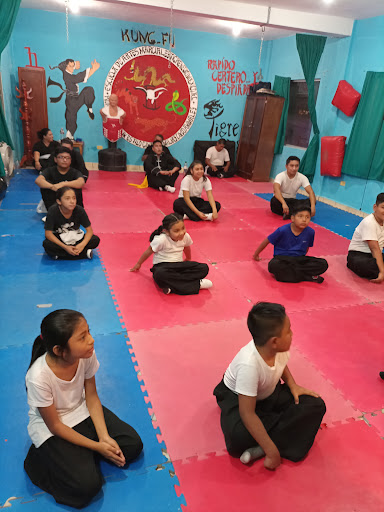 Escuela De Artes Marciales Tigre Negro Reynosa