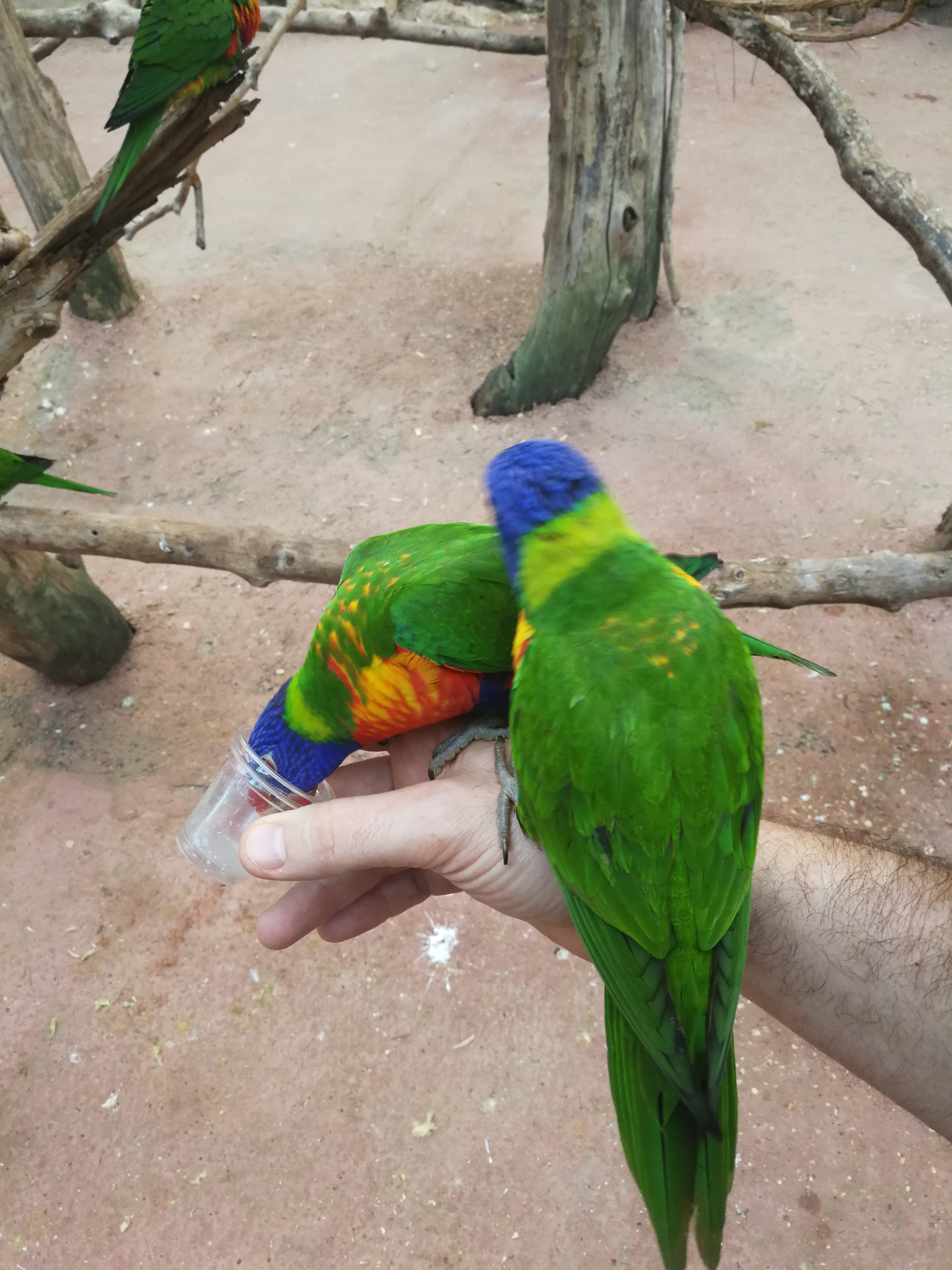 Photo n° 6 de l'avis de Carlito.H fait le 20/06/2018 à 18:07