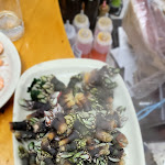 Photo n°2 de l'avis de Chris.b fait le 17/03/2022 à 21:42 sur le  Cervejaria Ferradura à Lagos