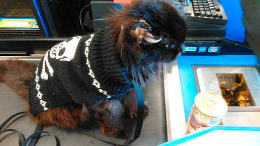 Pet Supply Store «Petco Animal Supplies», reviews and photos, 1660 Orchard Gateway Blvd, North Aurora, IL 60542, USA