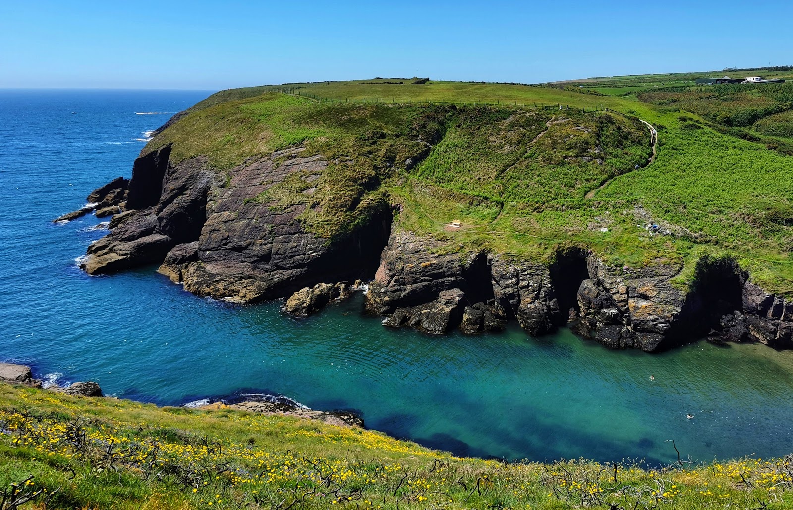 Foto di Portally Cove Beach e l'insediamento