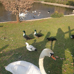 Photo n°5 de l'avis de Rosa.u fait le 06/03/2022 à 00:13 sur le  Tenuta Il Sogno à Piglio