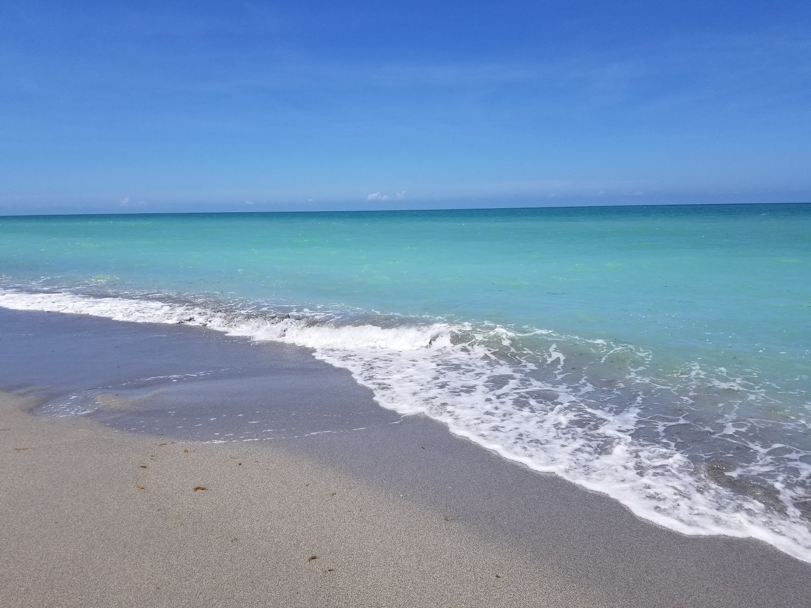 Φωτογραφία του Venice beach και η εγκατάσταση