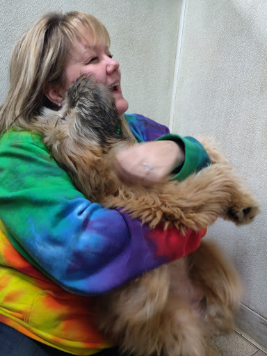 Pet Supply Store «Petland», reviews and photos, 6126 Northwest Hwy, Crystal Lake, IL 60014, USA