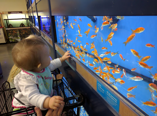 Pet Supply Store «Petco Animal Supplies», reviews and photos, 226 Thornton Drive, Dickson, TN 37055, USA