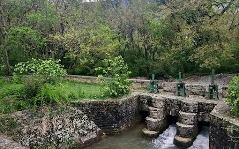 Dachigam National Park image