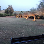 Photo n°7 de l'avis de Riccardo.a fait le 29/09/2023 à 16:04 sur le  Ristorante la Cantina di Sarna à Sarna