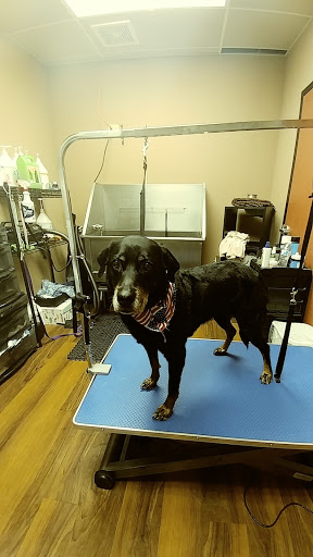 Pet Store «Pet Valu», reviews and photos, 2645 Shillington Rd, Sinking Spring, PA 19608, USA