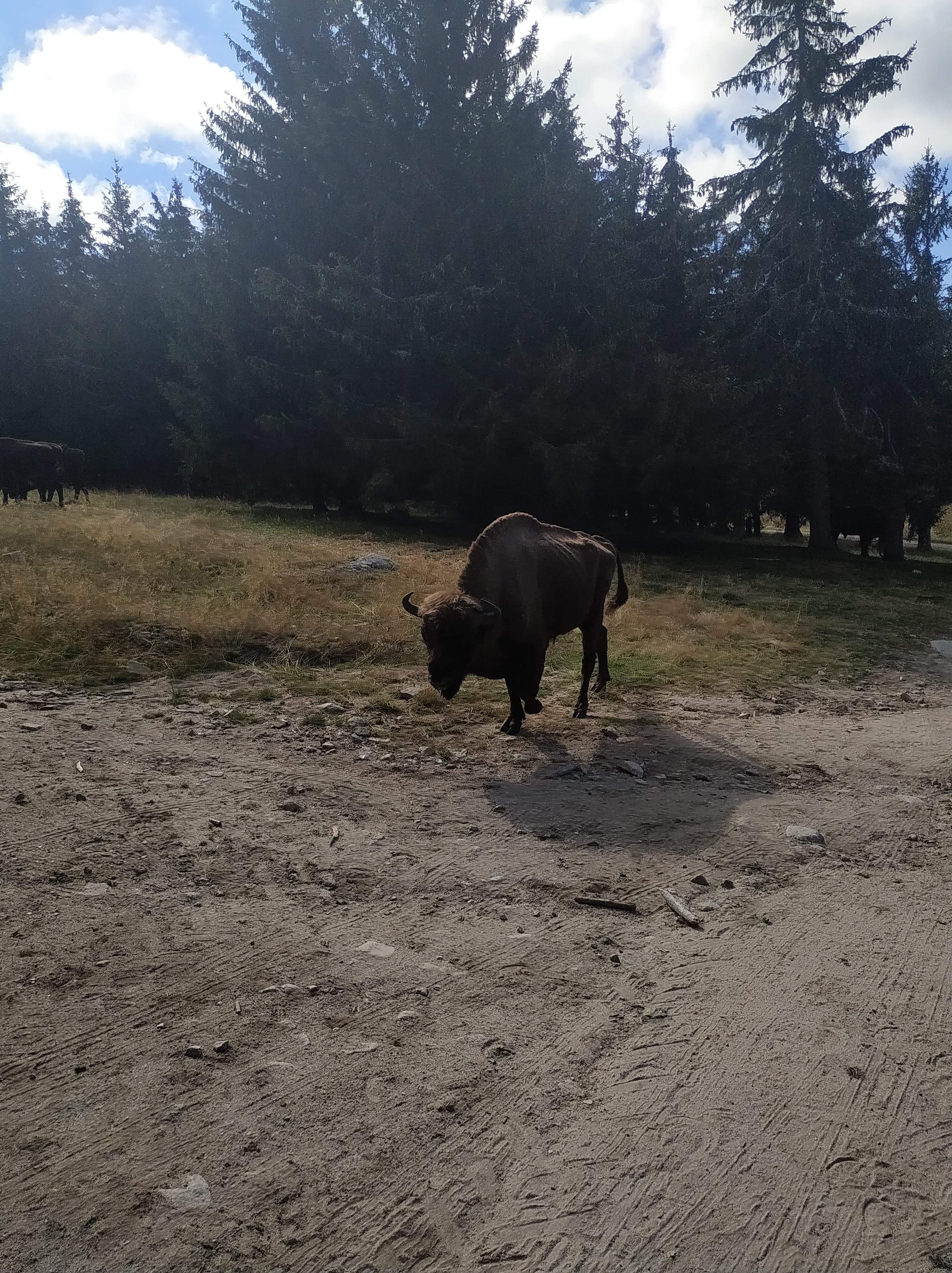 Photo n° 2 de l'avis de sylvain.o fait le 06/09/2020 à 15:14