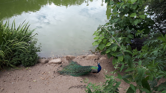 http://www.zoosantoinacio.com/