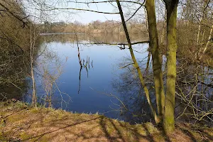 Whitley Nature Reserve image
