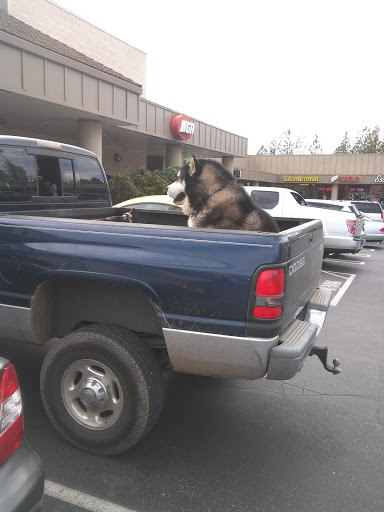 Grocery Store «SPD Markets», reviews and photos, 129 W McKnight Way, Grass Valley, CA 95949, USA