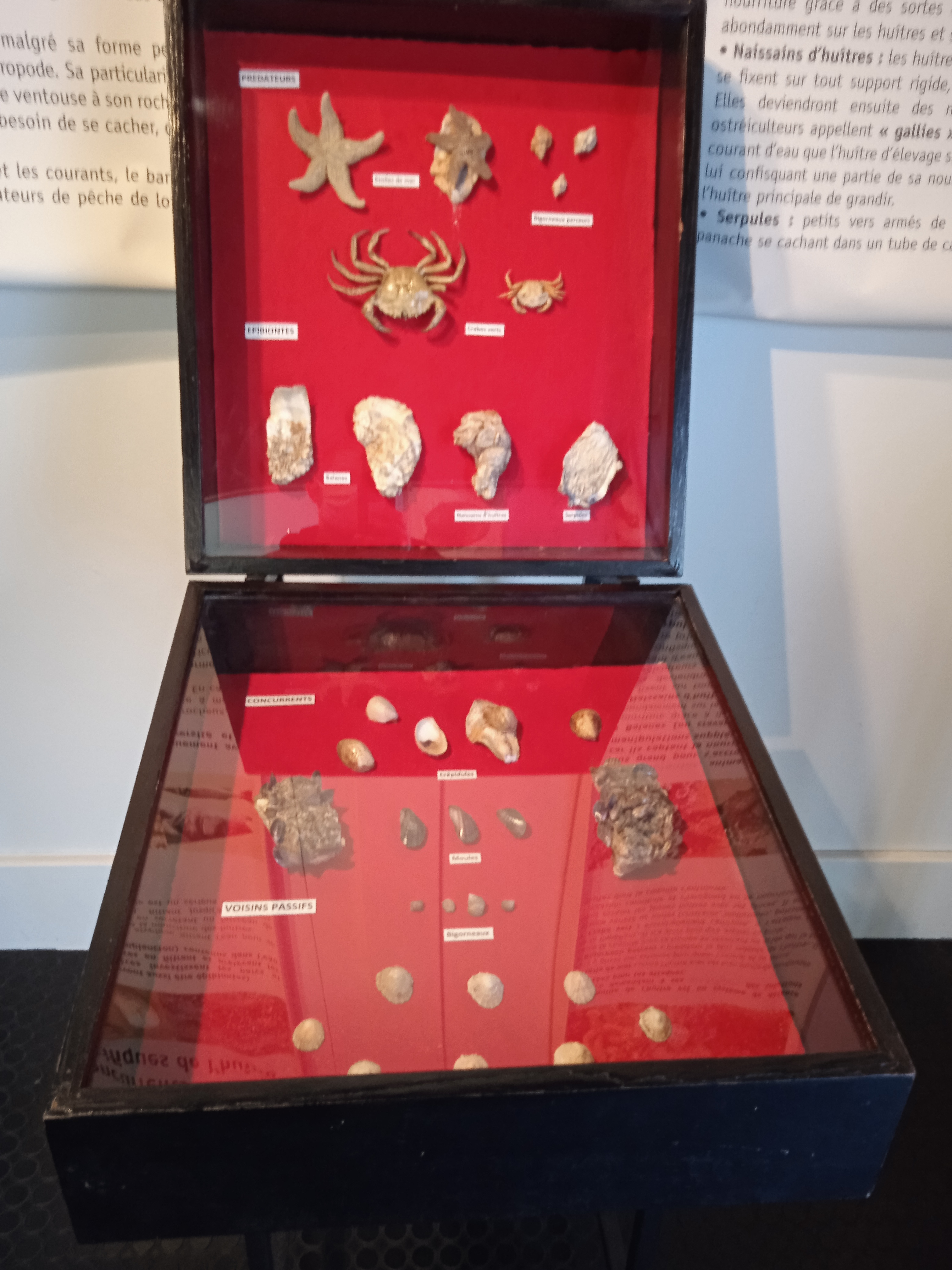 Photo n° 7 de l'avis de Julien.t fait le 18/10/2020 à 18:36