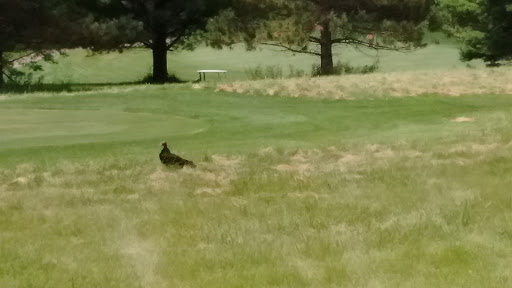 Golf Course «Timberline Golf Course», reviews and photos, 19858 E Pleasant Grove Rd, Peosta, IA 52068, USA