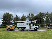 E.L.M. Tree Care - Photo 2 - Car repair in Murrieta, CA, Murrieta