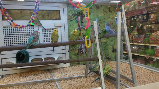 Pet Supply Store «PetSmart», reviews and photos, 263 Midway Blvd, Elyria, OH 44035, USA