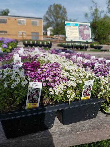 Florist «Lyndhurst Florist», reviews and photos, 5268 Mayfield Rd, Lyndhurst, OH 44124, USA