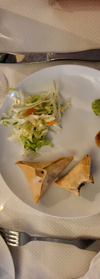 Samoussa du Restaurant indien Rajasthan Villa à Toulouse - n°6