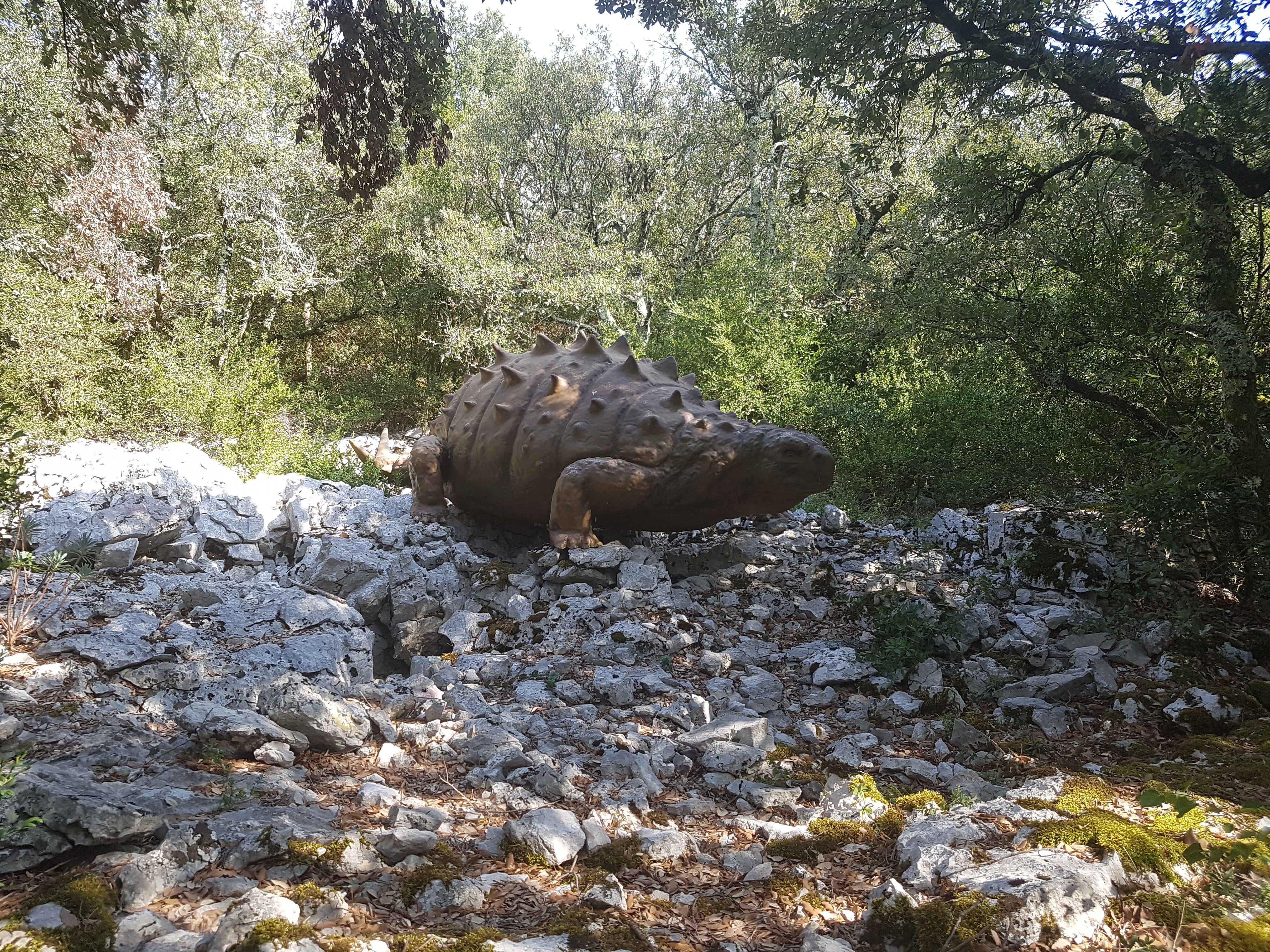 Photo n° 40 de l'avis de Mick.u fait le 05/09/2018 à 21:01