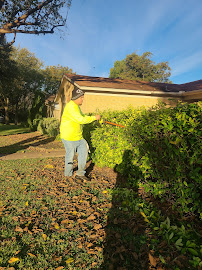 Bernal's Lawn Care - Photo 6 - Car repair in , Garland