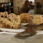 Photo n°1 de l'avis de Stefania.i fait le 24/11/2019 à 10:28 sur le  Ristorante Ai Mulinars à Clauzetto