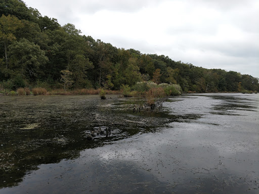 Tourist Attraction «Mallows Bay», reviews and photos, 1440 Wilson Landing Rd, Nanjemoy, MD 20662, USA