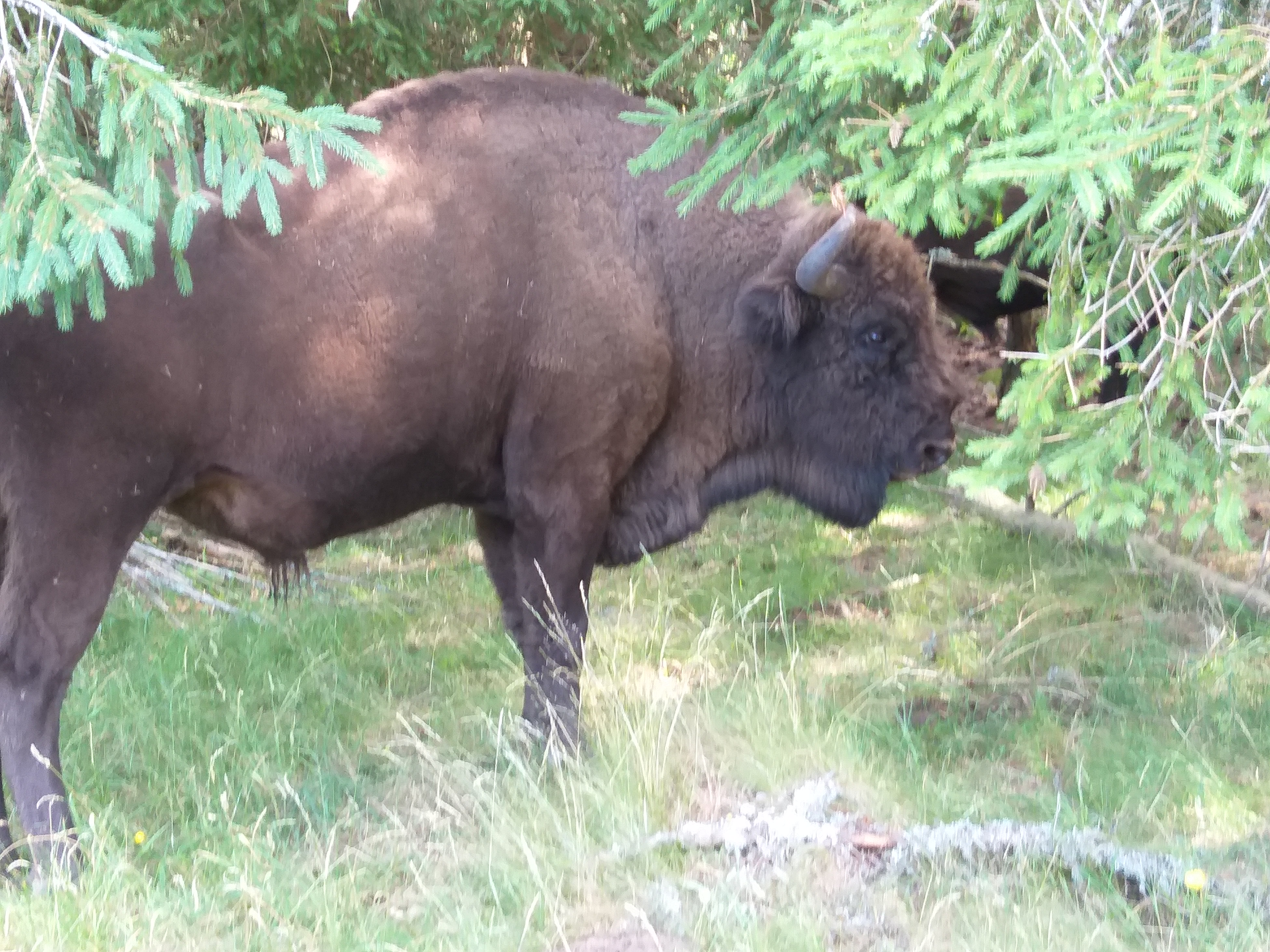 Photo n° 1 de l'avis de chloé.a fait le 23/07/2019 à 13:49