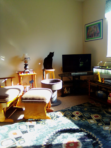 Home Goods Store «Dollar General», reviews and photos, 2649 Main St, Whitney Point, NY 13862, USA