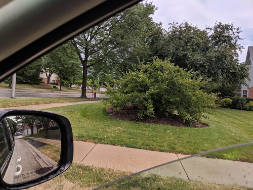 Fabric Store «Jo-Ann Fabrics and Crafts», reviews and photos, 301 S Barrington Rd, Schaumburg, IL 60193, USA