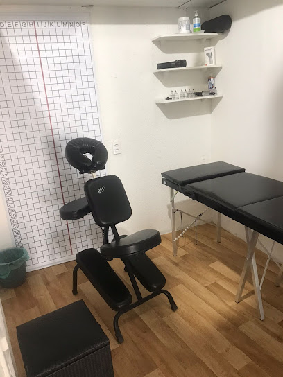 Quiropraxia Gabriel Torres Limão São Paulo