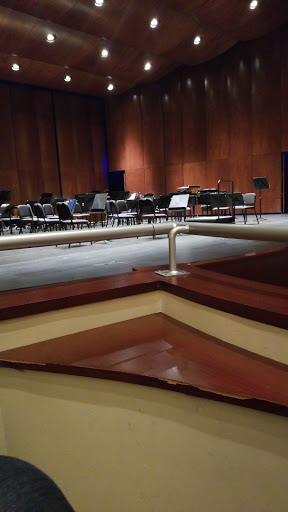 Performing Arts Group «Lincoln Park Performing Arts Center», reviews and photos