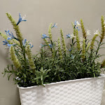 Photo n°4 de l'avis de Nicola.a fait le 22/07/2019 à 21:40 sur le  Caffè Vergnano 2Giugno à Bari