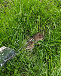 Lamorinda Gopher, LLC - Photo 4 - Car repair in , San Francisco