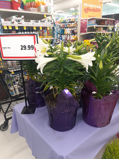 Grocery Store «Econofoods», reviews and photos, 615 Main St, Red Wing, MN 55066, USA