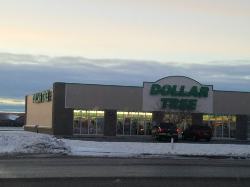 Dollar Store «Dollar Tree», reviews and photos, 601 34th St N, Dilworth, MN 56529, USA