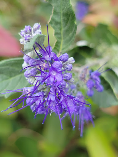 Park «Van Der Donck Park», reviews and photos, 41 Dock St, Yonkers, NY 10701, USA