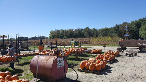 Christmas Tree Farm «Piney Acres», reviews and photos, 1115 E 1000 N, Fortville, IN 46040, USA