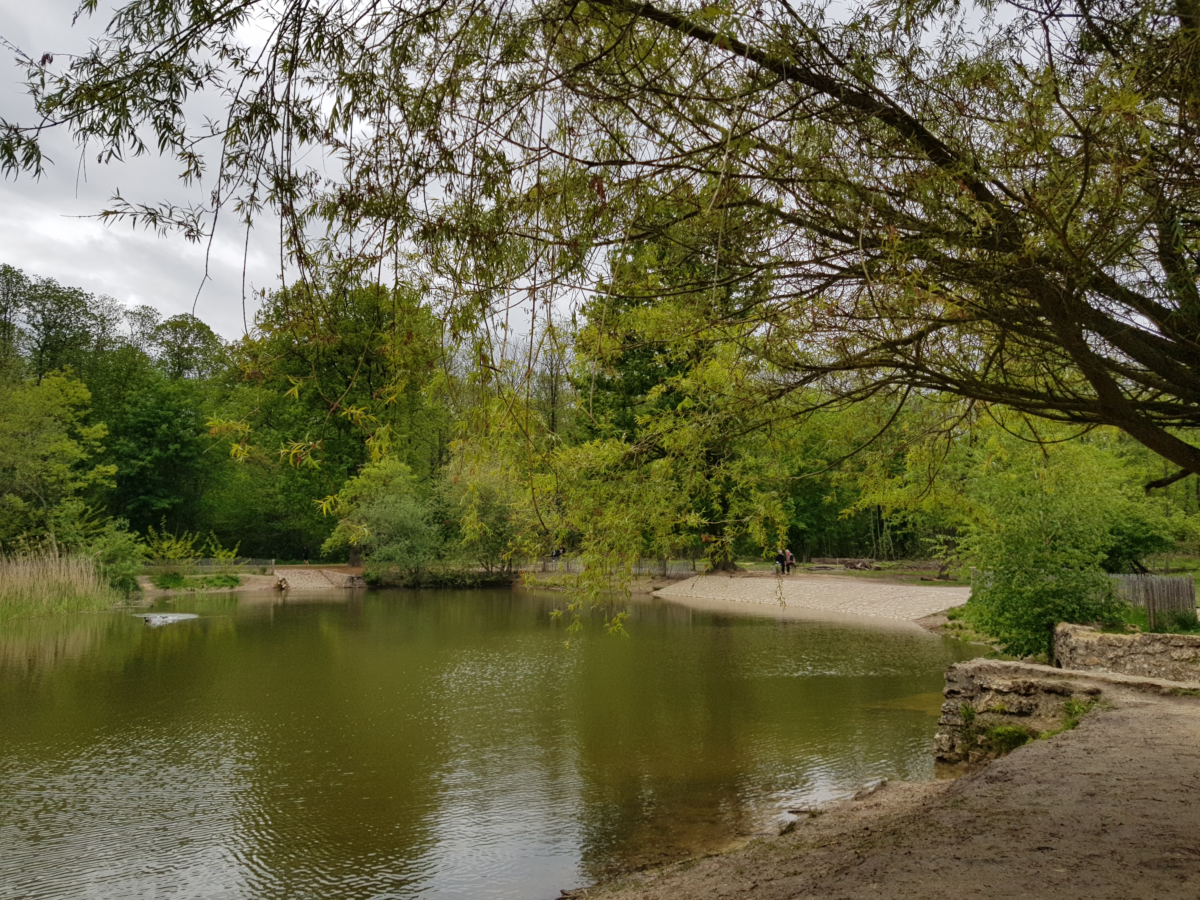 Photo n° 4 de l'avis de L.i fait le 20/05/2021 à 23:29