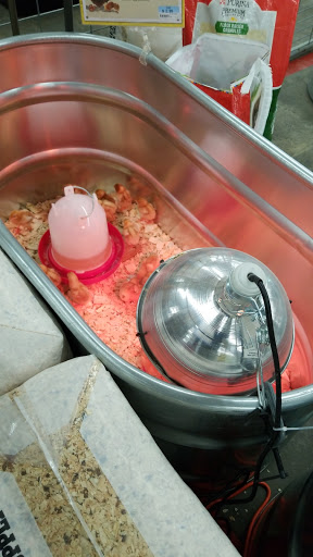 Home Improvement Store «Tractor Supply Co.», reviews and photos, 471 E Main St STE 3, Gouverneur, NY 13642, USA